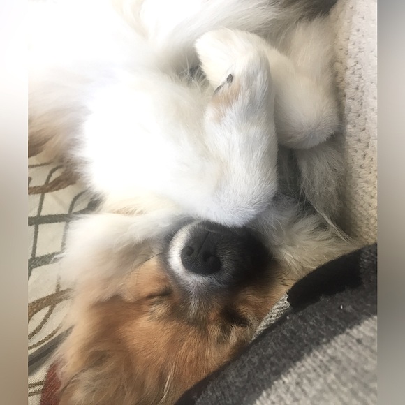 • 𝔪𝔢𝔢𝔱 𝔶𝔬𝔲𝔯 𝔰𝔢𝔩𝔩𝔢𝔯 !! • - Picture 5 of 11